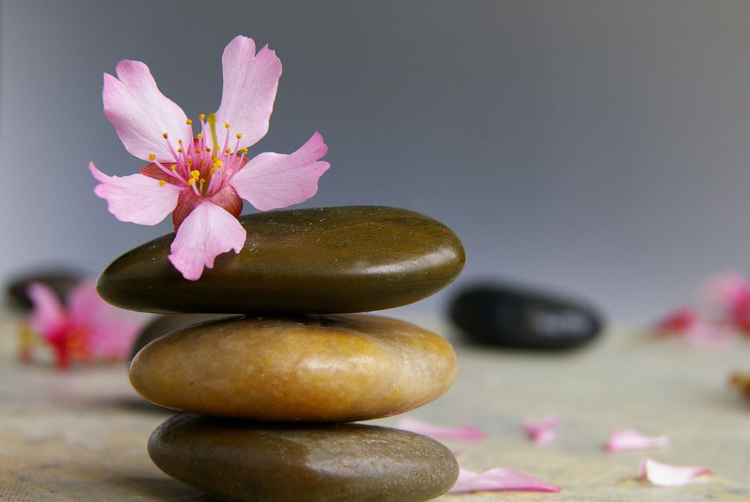 Diseño sin título (91)